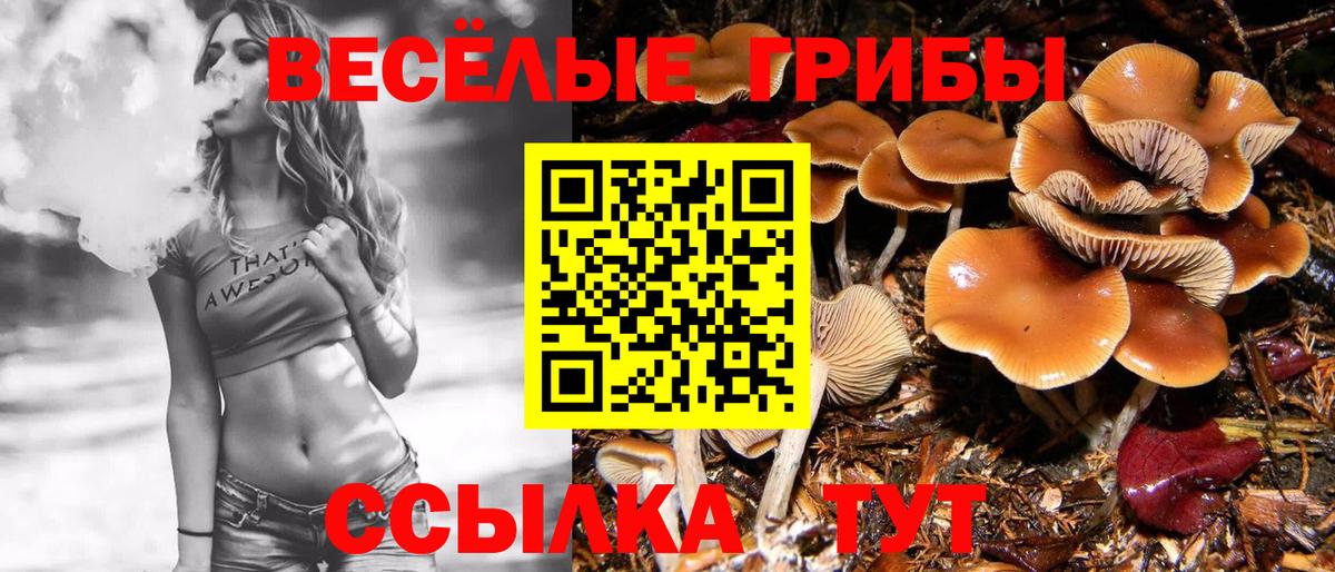 Красноармейск  Галлюциногенные грибы мухоморы  Вход с VPN  Псилоцибиновые грибы ЛСД 